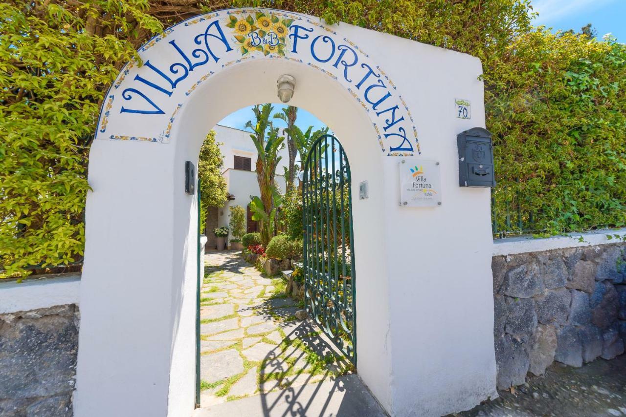 Villa Fortuna Holiday Resort Ischia Dış mekan fotoğraf